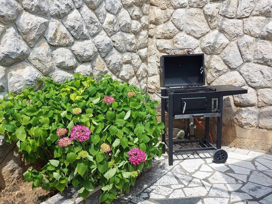 Apartment Mediterranean Garden Rijeka Exterior foto